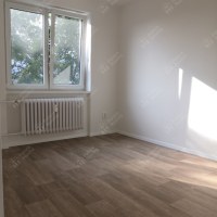 3438_1325479016.jpg