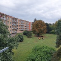 3438_1960877382.jpg
