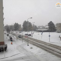 3450_5127248920.jpg