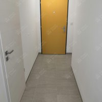 3473_9277659939.jpg